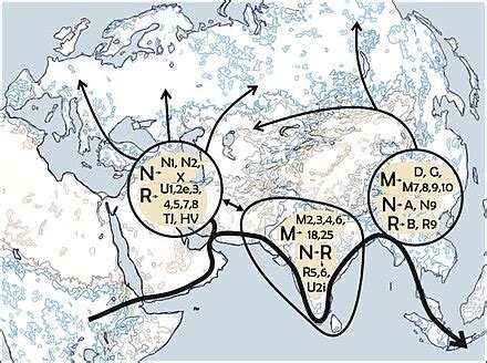 Haplogroup X (mtDNA) - Wikipedia