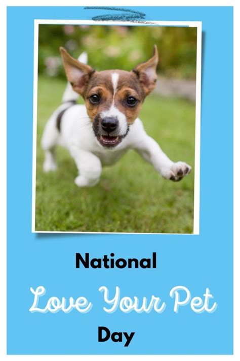 10 Ways to Love Your Dog on National Love Your Pet Day!