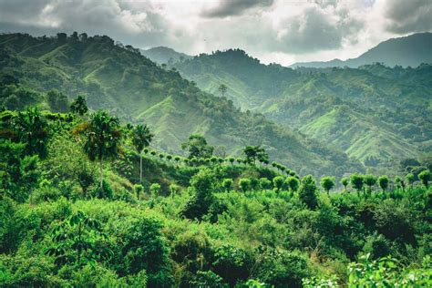 Everything you Need to Know for a Trek to the Lost City Colombia