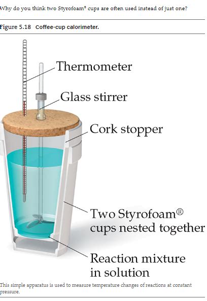 Solved Why do you think two Styrofoam 2 cups are often used | Chegg.com