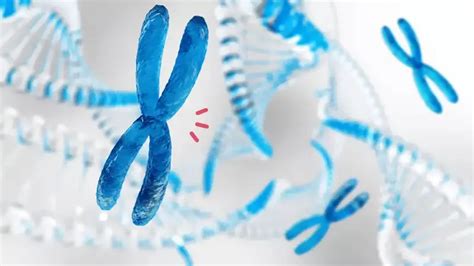 Kromosom Manusia, Struktur DNA yang Memberi Ciri pada Tubuh dan Wajah | Orami