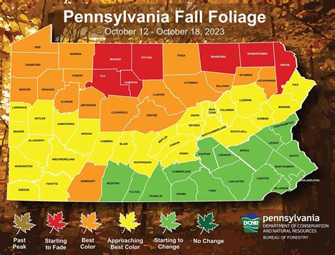 Best fall foliage in Pa. can be found in these counties this week ...