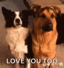 I Love You Too GIFs | Tenor