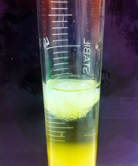LAB SCIENCE: L12. DNA EXTRACTION