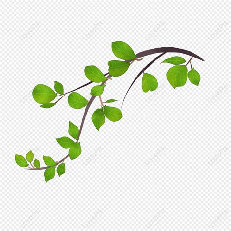 Cartoon Green Tree Branch, Tree, Spring, Green Branches PNG Image Free Download And Clipart ...