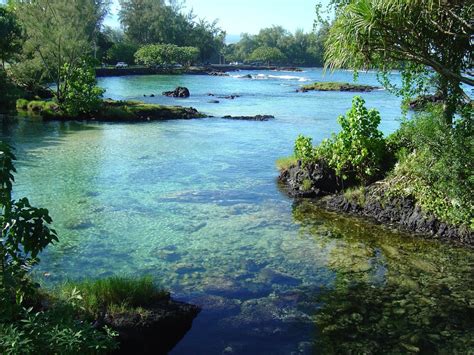 Beach Park at Hilo, Hawai'i : pics