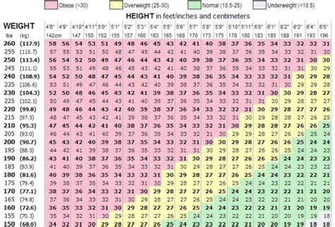 What is BMI? How do I calculate it? All your questions about BMI ...