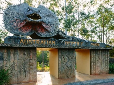 Adventure awaits at the Australian Reptile Park NSW - Explore Australia ...