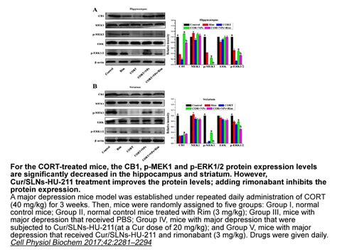 APExBIO - Rimonabant|CB1 receptor antagonist|CAS# 168273-06-1