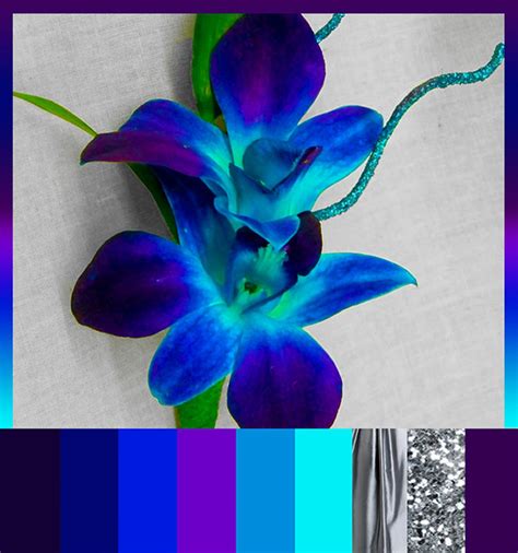 Orchidées bleues sur Pinterest | Découvrez plus de 50 idées sur le ...