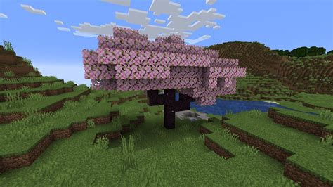 How to find and grow cherry trees easily in Minecraft 1.20 update