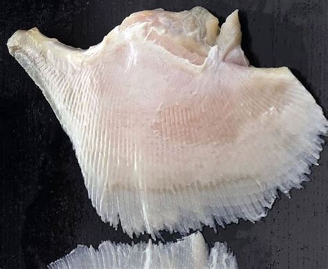 Buy Skate Wing 500g Online at the Best Price, Free UK Delivery - Bradley's Fish