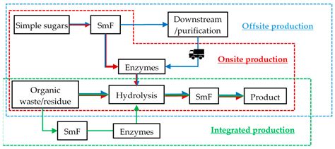 Fermentation Process Diagram