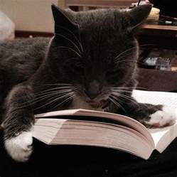 Cats! Books! Cats reading books! What's not to like? And the Winners ...