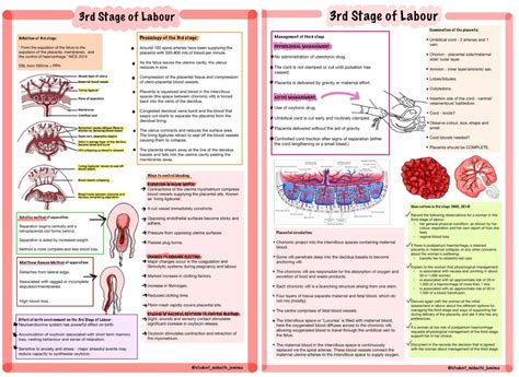 3rd Stage of Labour - Etsy