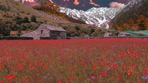 Cottage And Flowers Field With Background Of Mountain HD Cottagecore ...