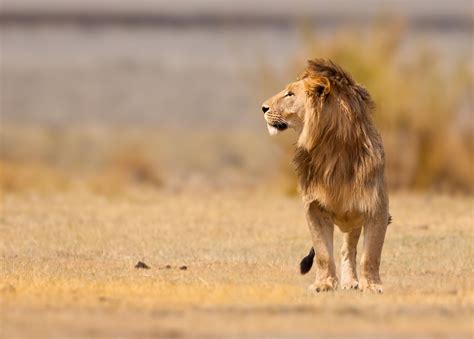 Ngorongoro Crater | Audley Travel