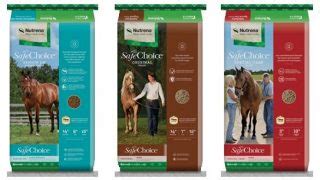 7 Best Horse Feed Brands for Horse Owners (2021)