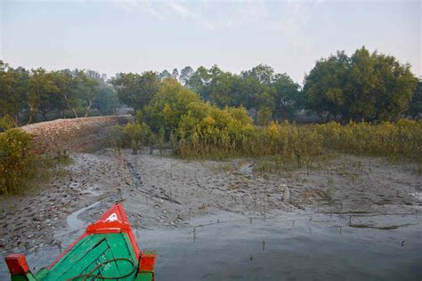 Sundarbans National Park in India: Essential Travel Guide