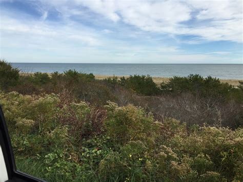 Nantucket Fall Foliage Nantucket Fall, Fall Foliage, Beach, Water ...