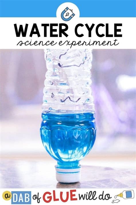 Water Cycle in a Bottle Science Experiment