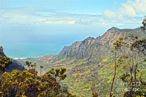 View from Kalalau Lookout, Kauai Photograph by Catherine Sherman | Fine ...