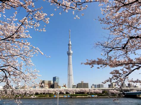 Tokyo Skytree Wallpapers - Wallpaper Cave