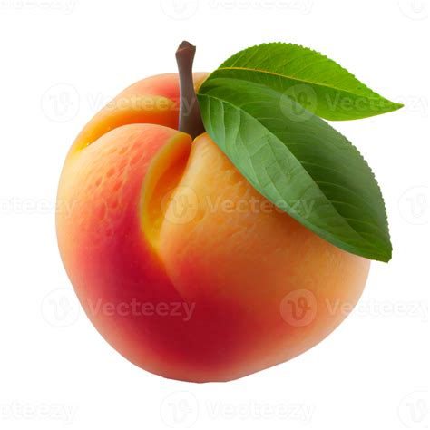 Peach fruit png, Peach on transparent background 22825541 PNG