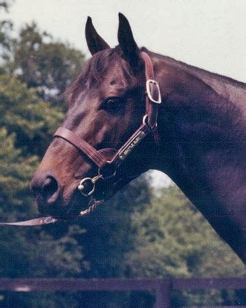 Seattle Slew (Racehorse) - On This Day