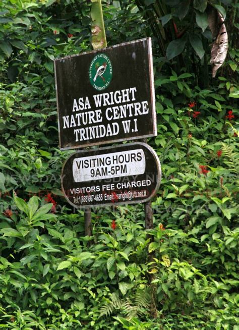 US nature tour owner writes to Jill Biden to help save Asa Wright Nature Centre - Trinidad and ...