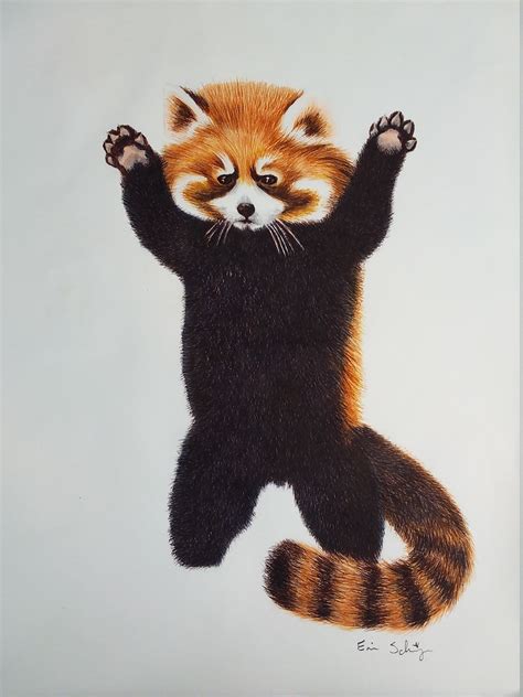 Red Panda Artist Print - Etsy