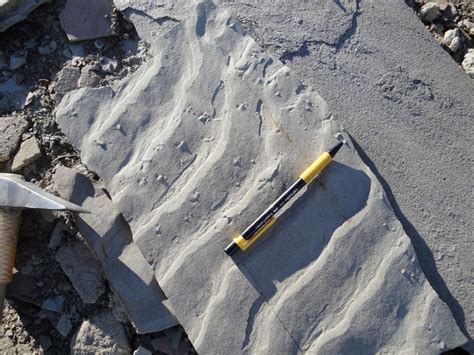 Bedforms: ripples and dunes – Geology is the Way