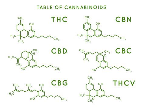 Cannabis, Yeast and the Quest for Cannabinoid Synthesis