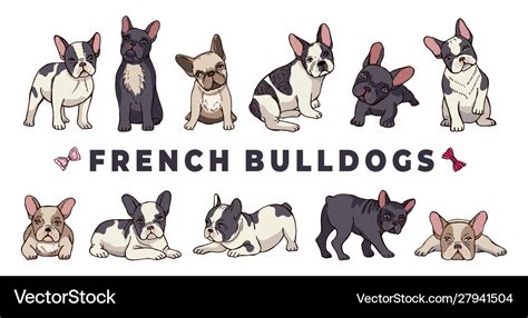 French bulldogs bulldog set funny cartoon Vector Image