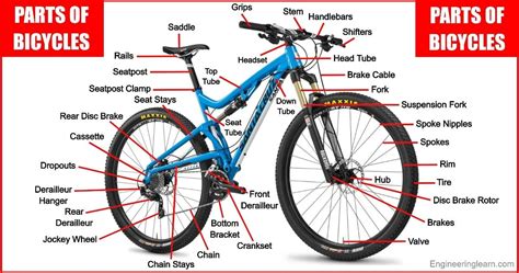 Parts of Bicycle | Anatomy of Bicycle | Bicycle Parts Names in 2023 | Mechanic, Bicycle, Screws ...