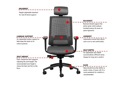 How to adjust your chair for the correct sitting posture - Karo