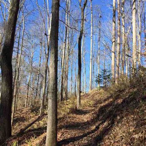 Hiking trail at Yahoola Park - Dahlonega, Georgia, USA | Pacer