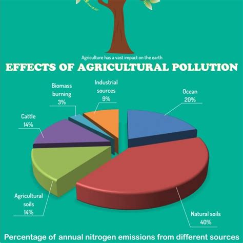 Agricultural Pollution Infographic