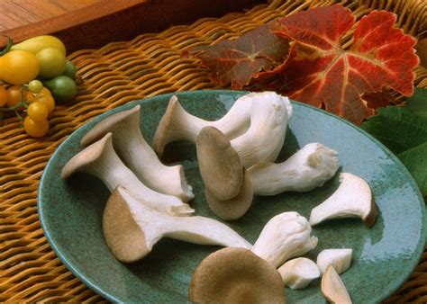 Cream of Mushroom Soup with Trumpet Royale — Mycopia Mushrooms