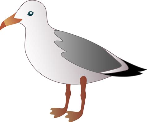 Little Seagull - Free Clip Art