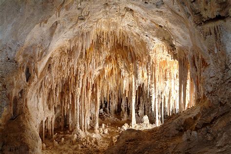 Carlsbad Caverns: Explore 119+ Caves & Desert Beauty | WNPA