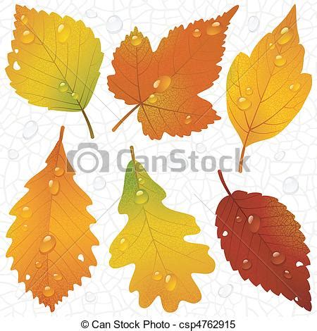 14 Leaf Vector Graphic Line Images - Leaf Clip Art, Green Leaf Graphic ...