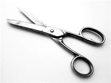 Free photo: Scissors, Cut, Metal, Tool, Sharp - Free Image on Pixabay - 600599