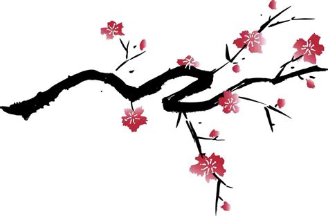 Chinese Cherry Blossom Drawing | Free download on ClipArtMag