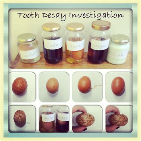 Egg experiment - tooth decay Y3 | Science fair, Science fair projects boards, Science fair projects