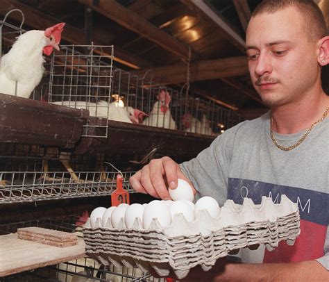 An "Egg-cellent" Business: Selling Your Backyard Eggs - UF/IFAS Extension Duval County