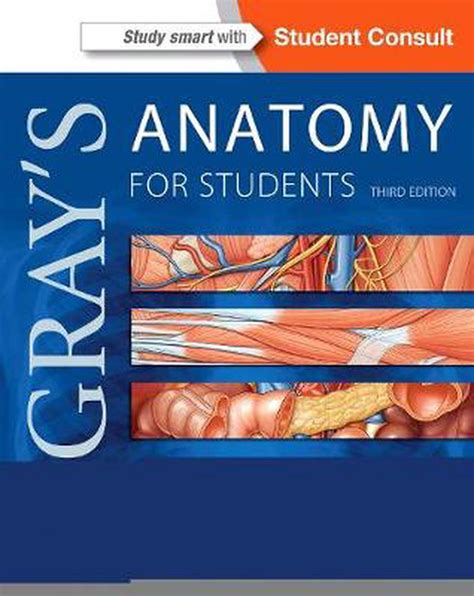 Gray's Anatomy for Students, 3rd Edition by Richard Drake, Paperback ...