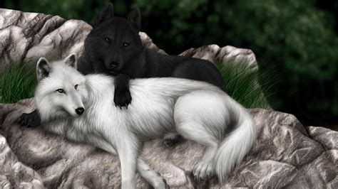 HD wallpaper: black, white, wolf, wolves | Wallpaper Flare