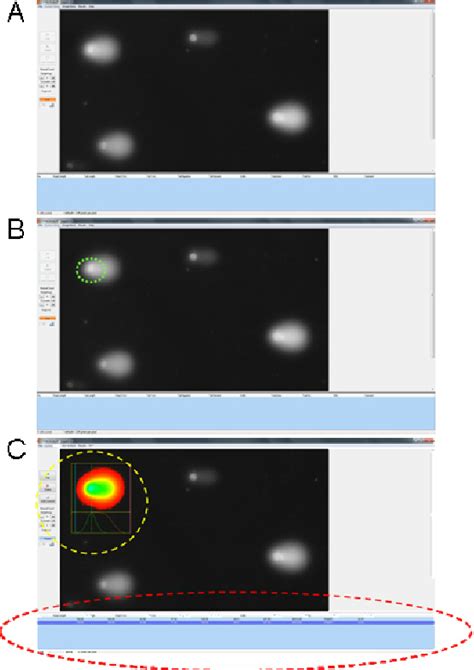 Comet assay analysis using Comet Assay software. (A) Representative ...