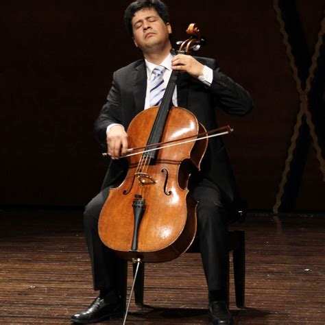 Frequently Asked Questions Relating to the Cello - Top 20 - Musical ...